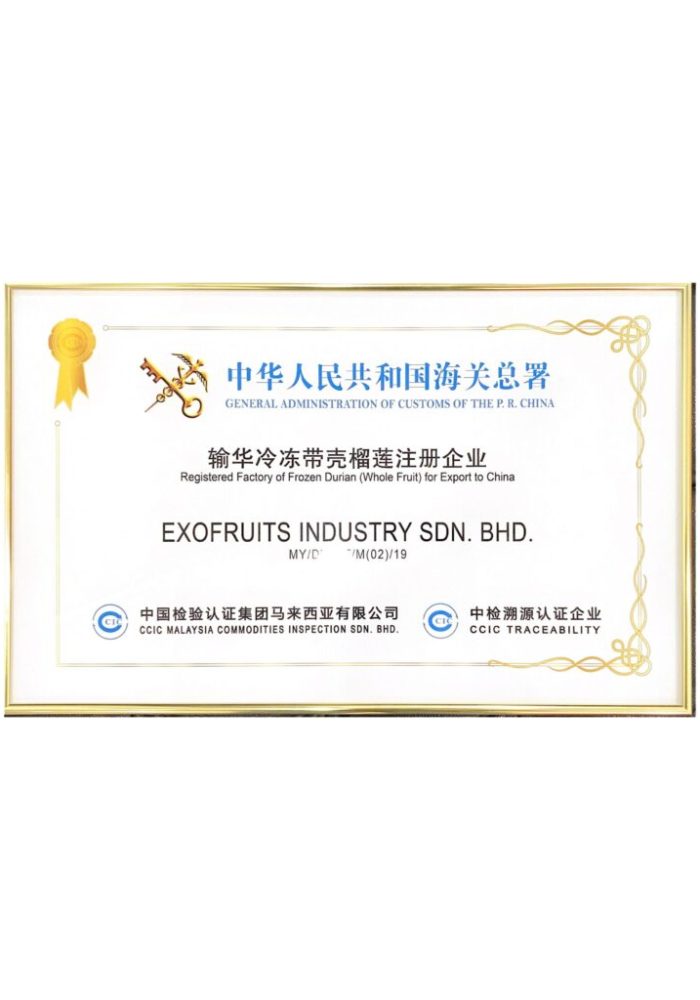 Registered Factory of Frozen Durian (Whole Fruit) for Export to China